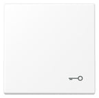 Jung LS 990 T WWM Wippe 1fach Symbol Tür Serie LS schneeweiß matt
