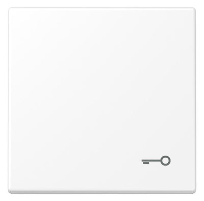 Jung LS 990 T WWM Wippe 1fach Symbol Tür Serie LS schneeweiß matt