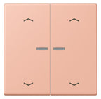 Jung LC102KO5P231 Wippe m.Lichtleiter u. Pfeilsymbolen