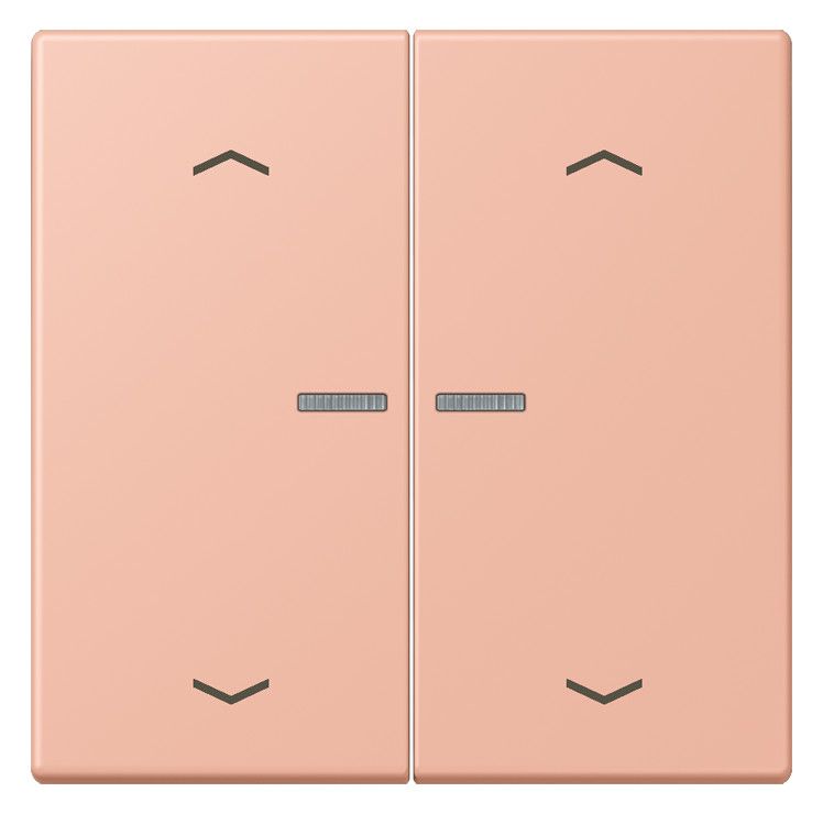 Jung LC102KO5P231 Wippe m.Lichtleiter u. Pfeilsymbolen