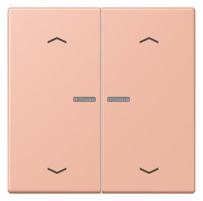Jung LC102KO5P231 Wippe m.Lichtleiter u. Pfeilsymbolen