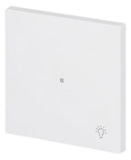 BJ 6231-10-44M Wippe 1-fach m.Symbol "Licht"
