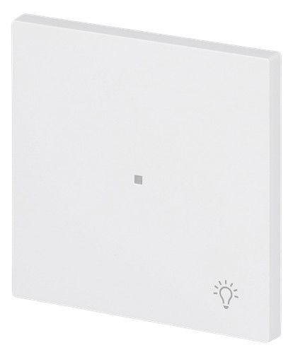 BJ 6231-10-44M Wippe 1-fach m.Symbol "Licht"