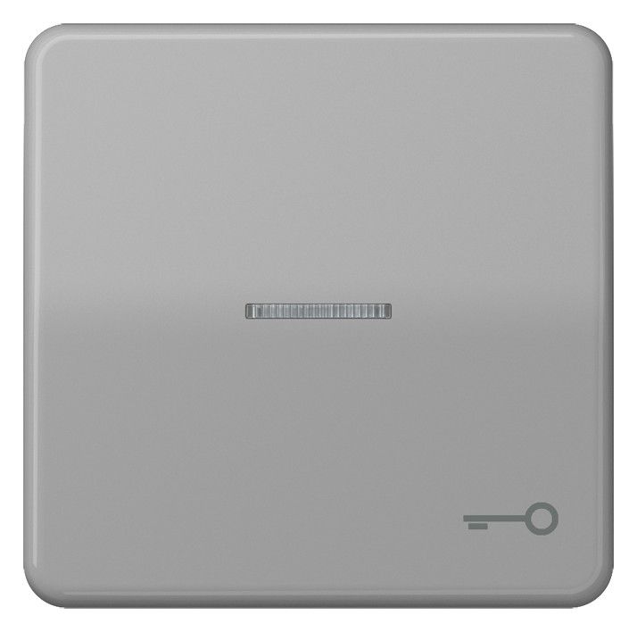 Jung CD590KO5TGR Wippe Symbol Tür m.Lichtleiter grau