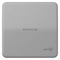 Jung CD590KO5TGR Wippe Symbol Tür m.Lichtleiter grau