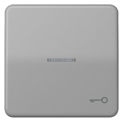 Jung CD590KO5TGR Wippe Symbol Tür m.Lichtleiter grau