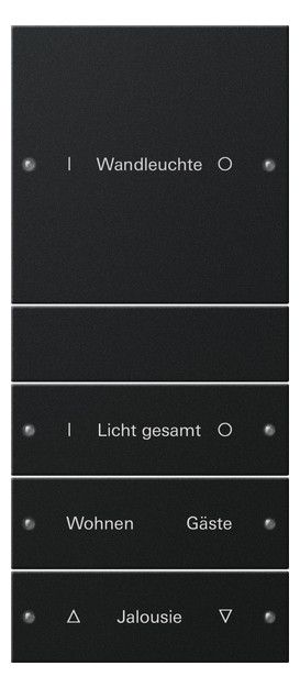 GIRA 2204005 Wippenset 4fach (1+3) beschreib. System 55 Schwarz matt(lack.)