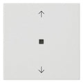 GIRA 538827 Wippe 1fach Pfeile KF System 55 Reinweiß seidenmatt