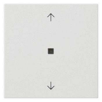 GIRA 538827 Wippe 1fach Pfeile KF System 55 Reinweiß seidenmatt
