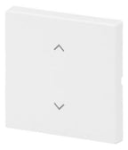 BJ 6735-11-84 Wippe 1-fach m.Symbol "Jalousie" Format 63
