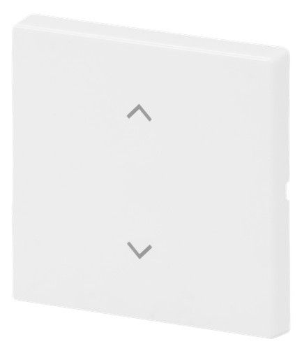 BJ 6735-11-84 Wippe 1-fach m.Symbol "Jalousie" Format 63