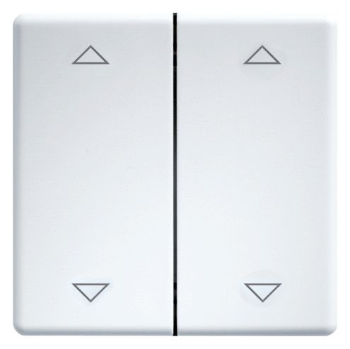 Eltako DW-FT55-wg+2P Doppelwippen 55er Design+E-Design55 reinweiß gl.30000985