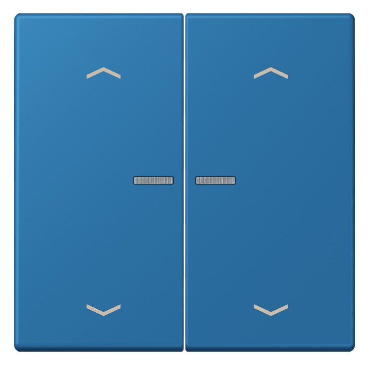 Jung LC102KO5P211 Wippe m.Lichtleiter u. Pfeilsymbolen