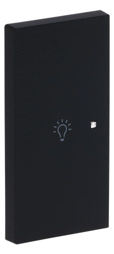 BJ 6231-21-45M Wippe 2-fach links m.Symbol "Licht"