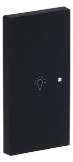 BJ 6231-21-45M Wippe 2-fach links m.Symbol "Licht"