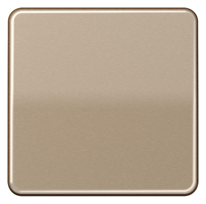 Jung CD101GB Wippe f.Taster