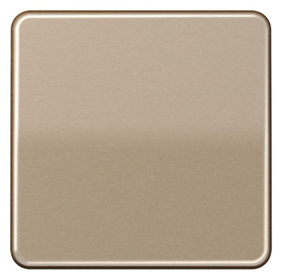Jung CD101GB Wippe f.Taster