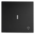 BJ 1789 LI-45M Wippe m.Symbol "Licht" m. transparenter Kalotte