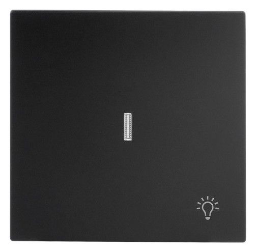BJ 1789 LI-45M Wippe m.Symbol "Licht" m. transparenter Kalotte