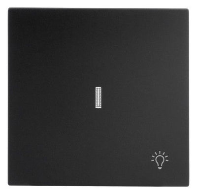 BJ 1789 LI-45M Wippe m.Symbol "Licht" m. transparenter Kalotte
