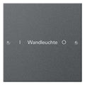 GIRA 220128 Wippenset 1fach beschreibbar System 55 Anthrazit (lackiert)