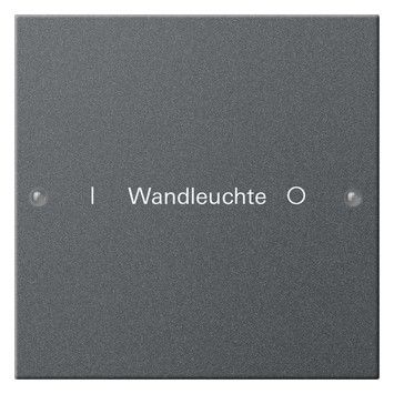 GIRA 220128 Wippenset 1fach beschreibbar System 55 Anthrazit (lackiert)