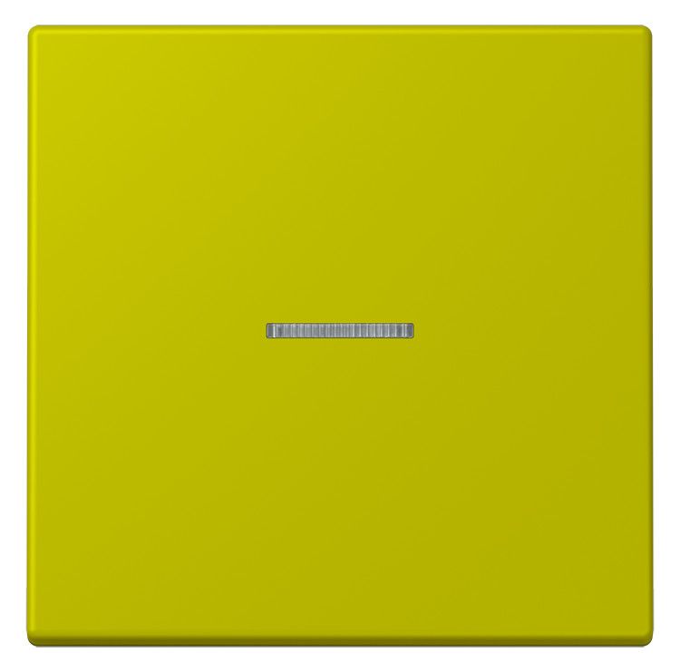 Jung LC990KO5249 Wippe f.Schalter/Taster KO LC4320F