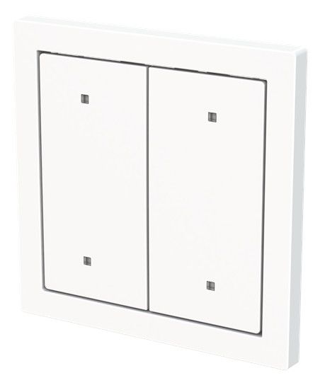 BJ 2570-20-44G Wippe f.Elektroniktaster 2-fach