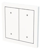 BJ 2570-20-44G Wippe f.Elektroniktaster 2-fach