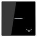 Jung LS990KO5LSW Wippe Symbol Licht m.Lichtleiter schwarz
