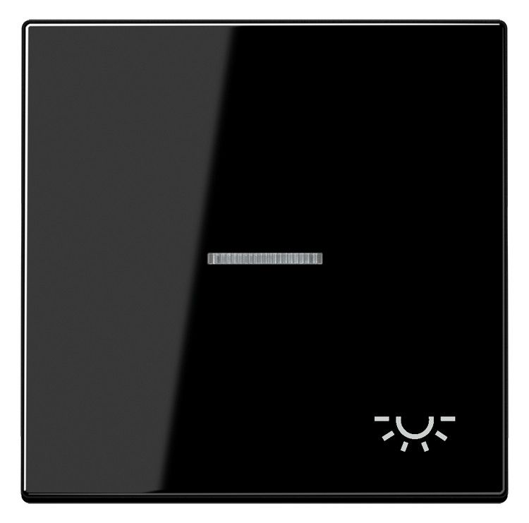 Jung LS990KO5LSW Wippe Symbol Licht m.Lichtleiter schwarz