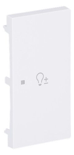 BJ 6234-22-44G Wippe 2-fach rechts m.Symbol "Dimmer"