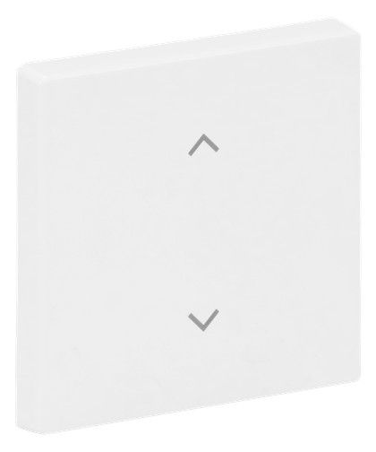BJ 6735-11-84 Wippe 1-fach m.Symbol "Jalousie" Format 63