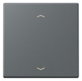 Jung LC101P202 Wippe m.Pfeilsymbolen f.KNX Taster 1