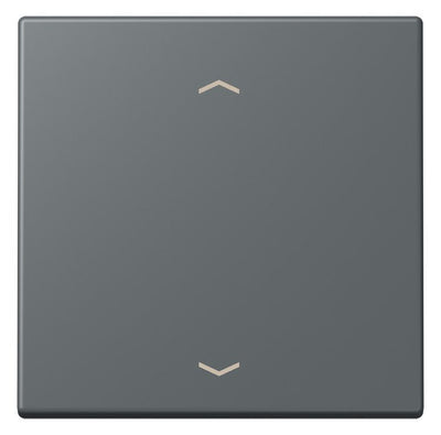 Jung LC101P202 Wippe m.Pfeilsymbolen f.KNX Taster 1