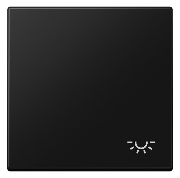 Jung LS 990 L SWM Wippe 1fach Symbol Licht Serie LS graphitschwarz matt