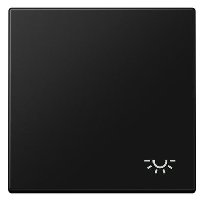 Jung LS 990 L SWM Wippe 1fach Symbol Licht Serie LS graphitschwarz matt