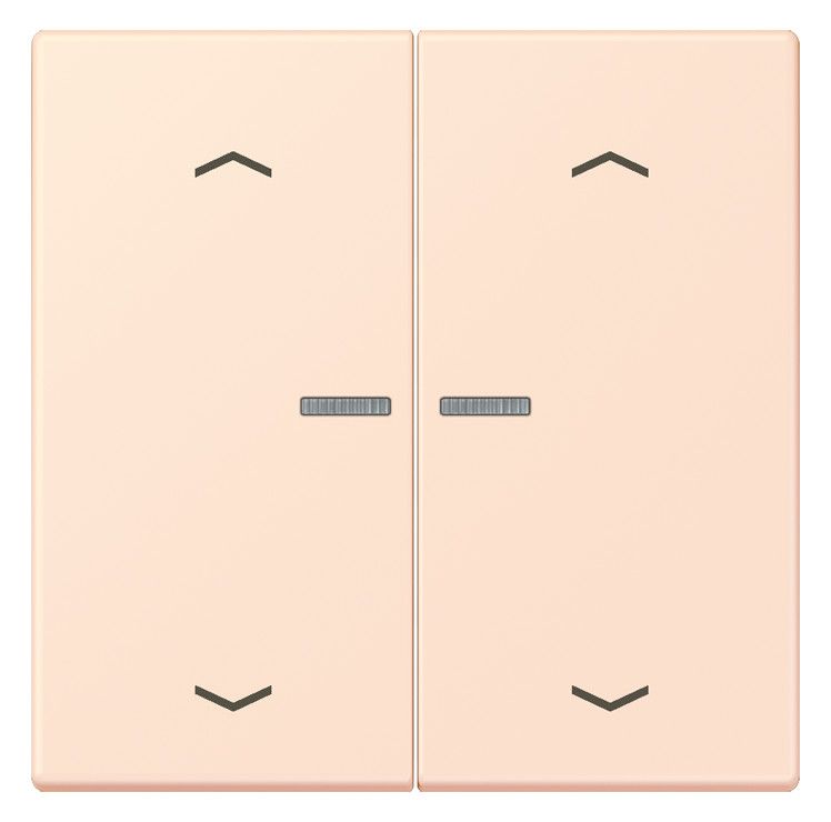 Jung LC102KO5P226 Wippe m.Lichtleiter u. Pfeilsymbolen