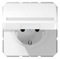 Jung CD1520BFNAKLWW SCHUKO Steckdose Klappdeckel Schriftfeld bruchs. alpinw.