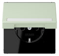 Jung LC1520BFNAKL218 SCHUKO-Steckd.KI m. Klappdeckel m.S