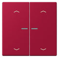 Jung LC102KO5P229 Wippe m.Lichtleiter u. Pfeilsymbolen