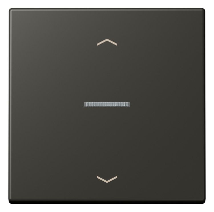 Jung LC101KO5P259 Wippe m.Lichtleiter u. Pfeilsymbolen