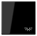 Jung A590BFLSW Wippe Symbol Licht bruchsicher Serie A schwarz