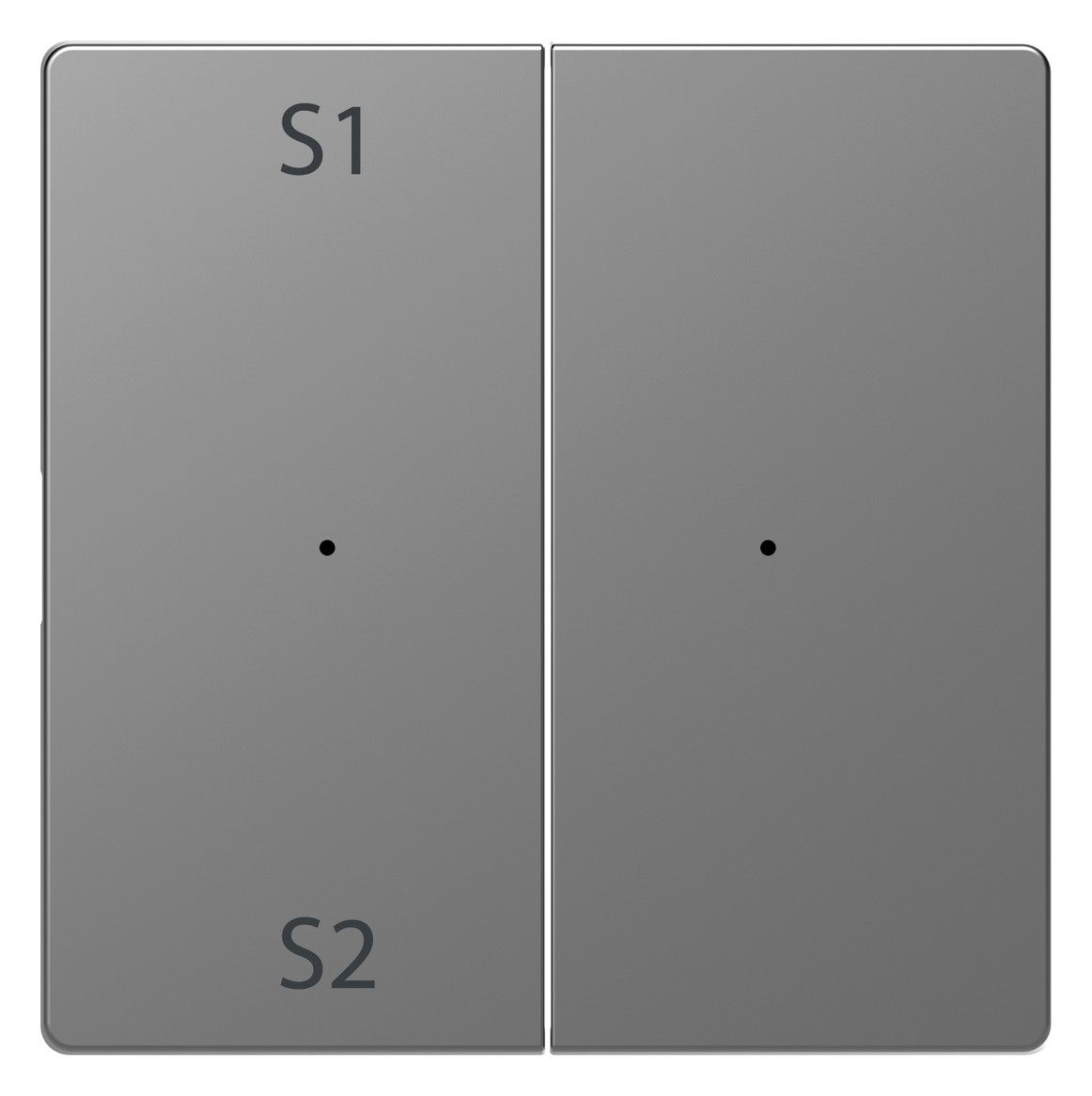 Mert MEG 5226-6036 Wippen Taster-Modul 2fach (Szene1/2 blank) Edelstahl
