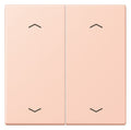 Jung LC102P234 Wippe m.Pfeilsymbolen f.KNX Taster 2