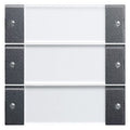 GIRA 213328 Wippenset 3fach BSF System 55 Klar/Anthrazit
