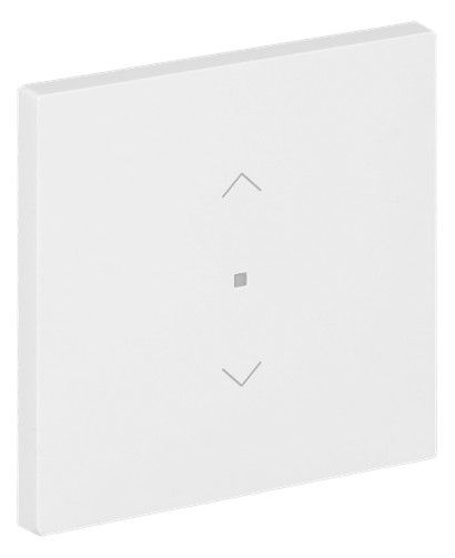 BJ 6232-10-44G Wippe 1-fach m.Symbol "Jalousie"