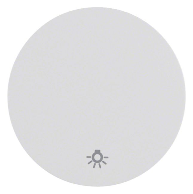 Berker 16202079 Wippe m.Aufdruck Symbol Licht R.1/R.3 polarweiß glänzend