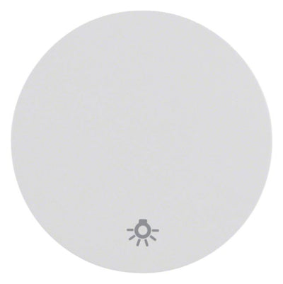 Berker 16202079 Wippe m.Aufdruck Symbol Licht R.1/R.3 polarweiß glänzend