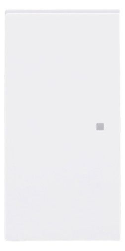 BJ 6230-20-44G Wippe 2-fach neutral o.Bedruckung